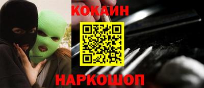 сатива Кингисепп