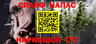 сатива Кингисепп